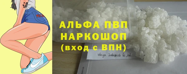 крисы Корсаков