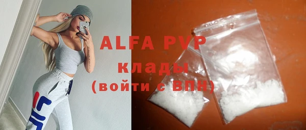 крисы Корсаков