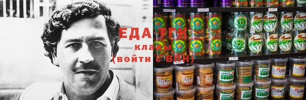 крисы Корсаков