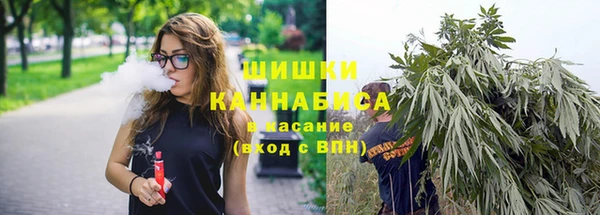 крисы Корсаков