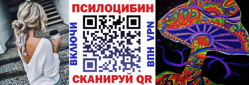 Псилоцибиновые грибы Cubensis  Красновишерск 